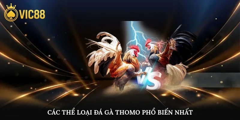 Các thể loại đá gà Thomo phổ biến nhất