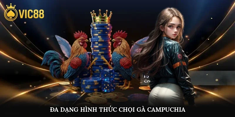 Đa dạng hình thức chọi gà Campuchia