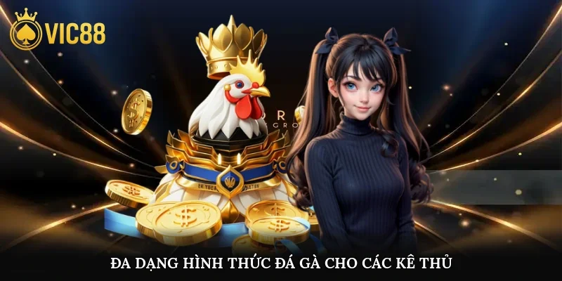 Đa dạng hình thức đá gà cho các kê thủ