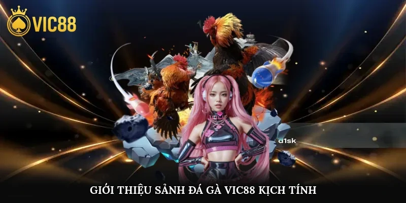 Giới thiệu sảnh đá gà vic88 kịch tính