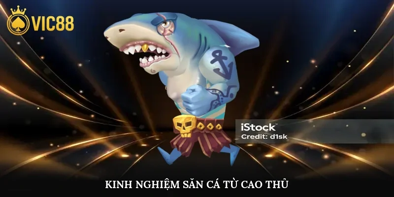 Kinh nghiệm săn cá từ cao thủ