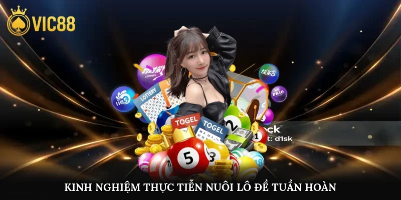 Kinh nghiệm thực tiễn nuôi lô đề tuần hoàn