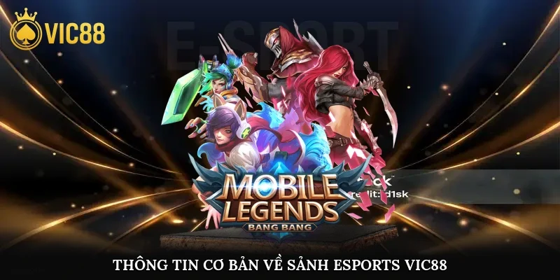 Thông tin cơ bản về sảnh esports vic88